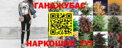 spice Балахна