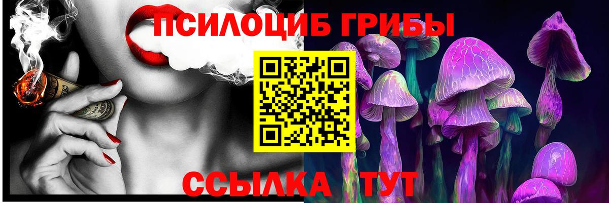 купить наркотики цена  Вход с VPN  Псилоцибиновые грибы мицелий  Егорьевск  Галлюциногенные грибы Cubensis 